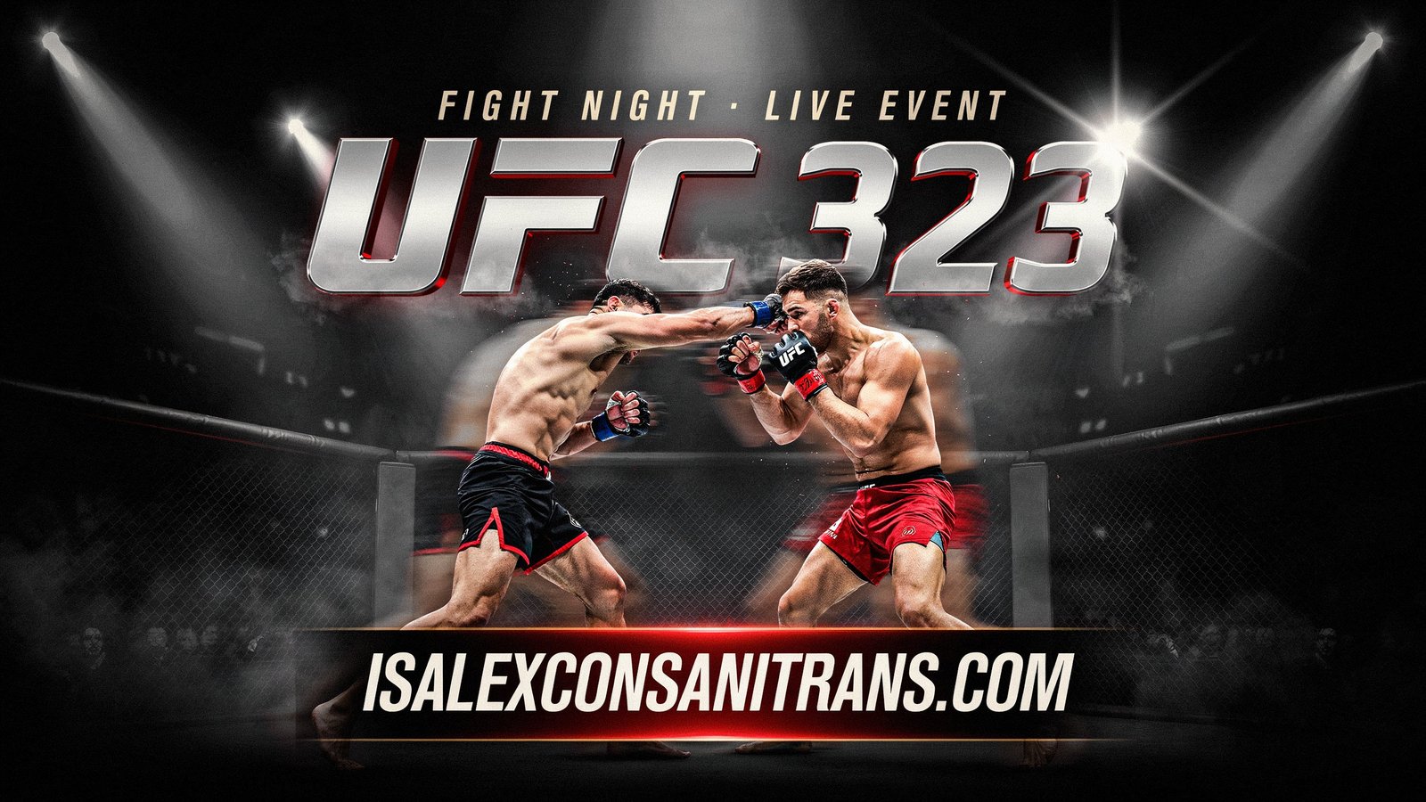 UFC 323