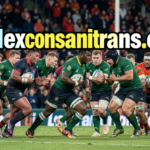 New Zealand vs South Africa: Stunning Win, Heartbreak Loss in 2026