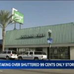 Dollar Tree Photos: Your Amazing Guide To Finding Them in 2026